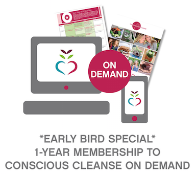 CONSCIOUS CLEANSE ON DEMAND