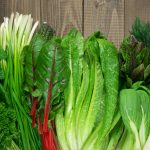 a line of greens, spinach, parsley, chard, romane, dill, bok choy