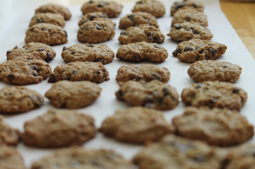 rows of Vegan Grain Free Cookies