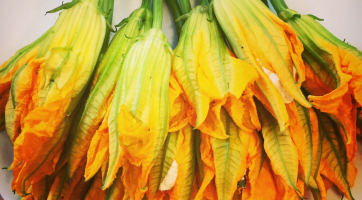 Cashew Cheese Stuffed Squash Blossoms