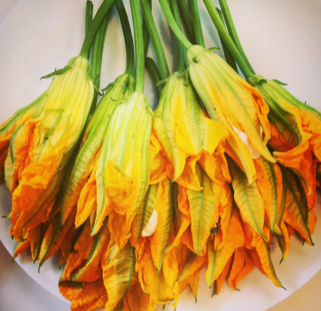 Cashew Cheese Stuffed Squash Blossoms