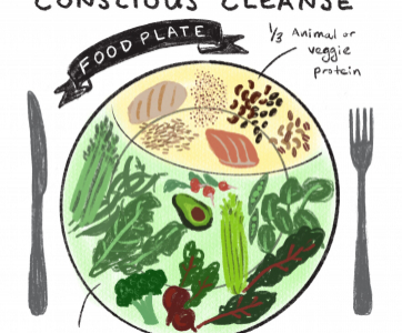 Conscious Cleanse Food Plate