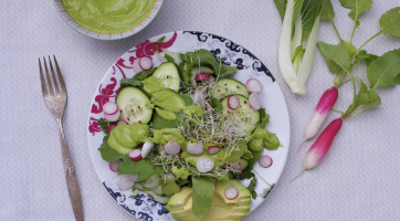 First Harvest Salad with Green Garden Salad Dressing