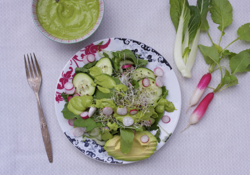 white plate with a blue and red pattern. On top is a green leaf lettuce salad with Green Garden dressing