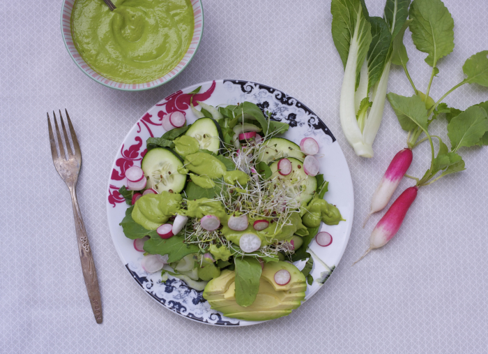 white plate with a blue and red pattern. On top is a green leaf lettuce salad with Green Garden dressing