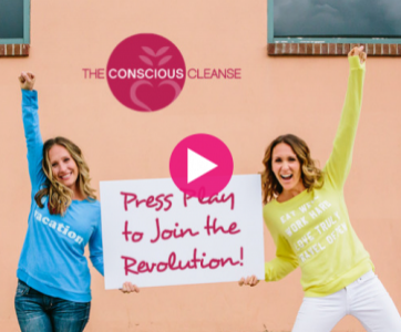 Conscious Cleanse<br> Indiegogo Crowdfunding Campaign