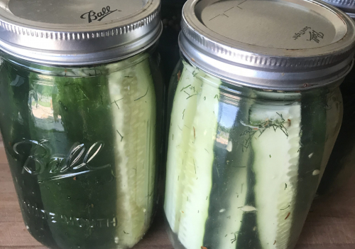 Jules' Fermented Dill Pickles