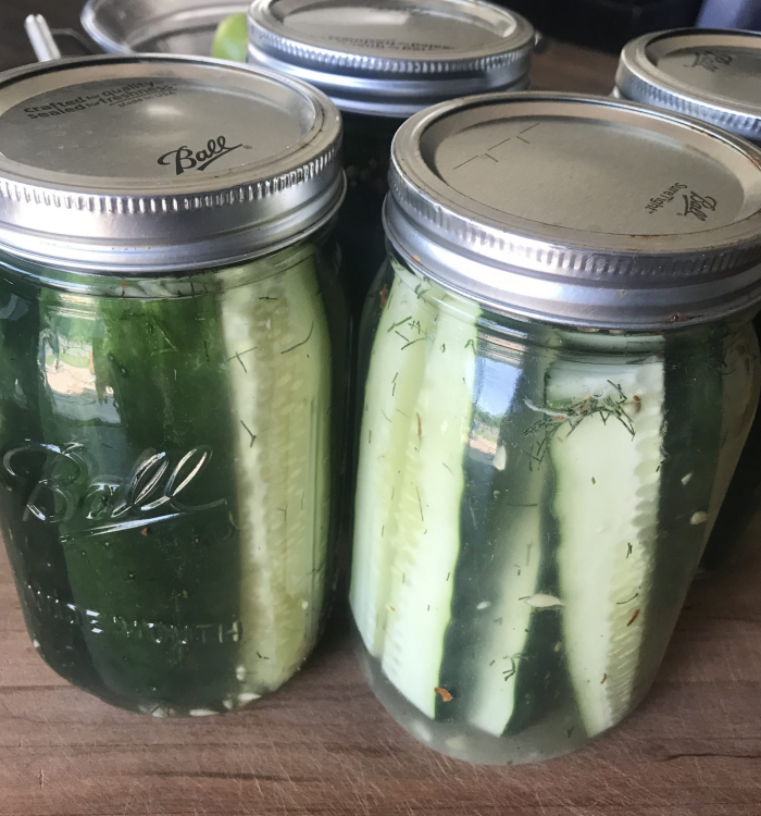 Jules' Fermented Dill Pickles