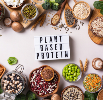 Our Top 5 Sources of Plant-Based Protein