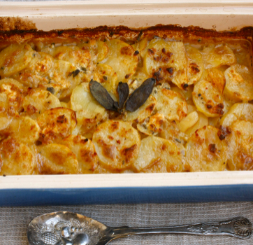 Goat Cheese & Sage Scalloped Potatoes (+ more Thanksgiving recipes!)