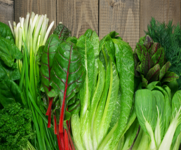 Our Top 7 Nutritious Greens To Boost Your Health