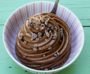 Vegan Chocolate Chip Ice Cream