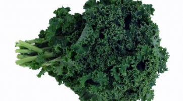 10 Ways I Love You, Kale