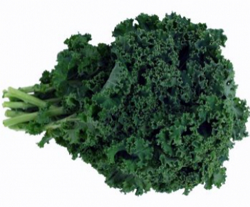10 Ways I Love You, Kale