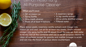 Rethinking Clean: 5 Ways to Detox Your Household Cleaners